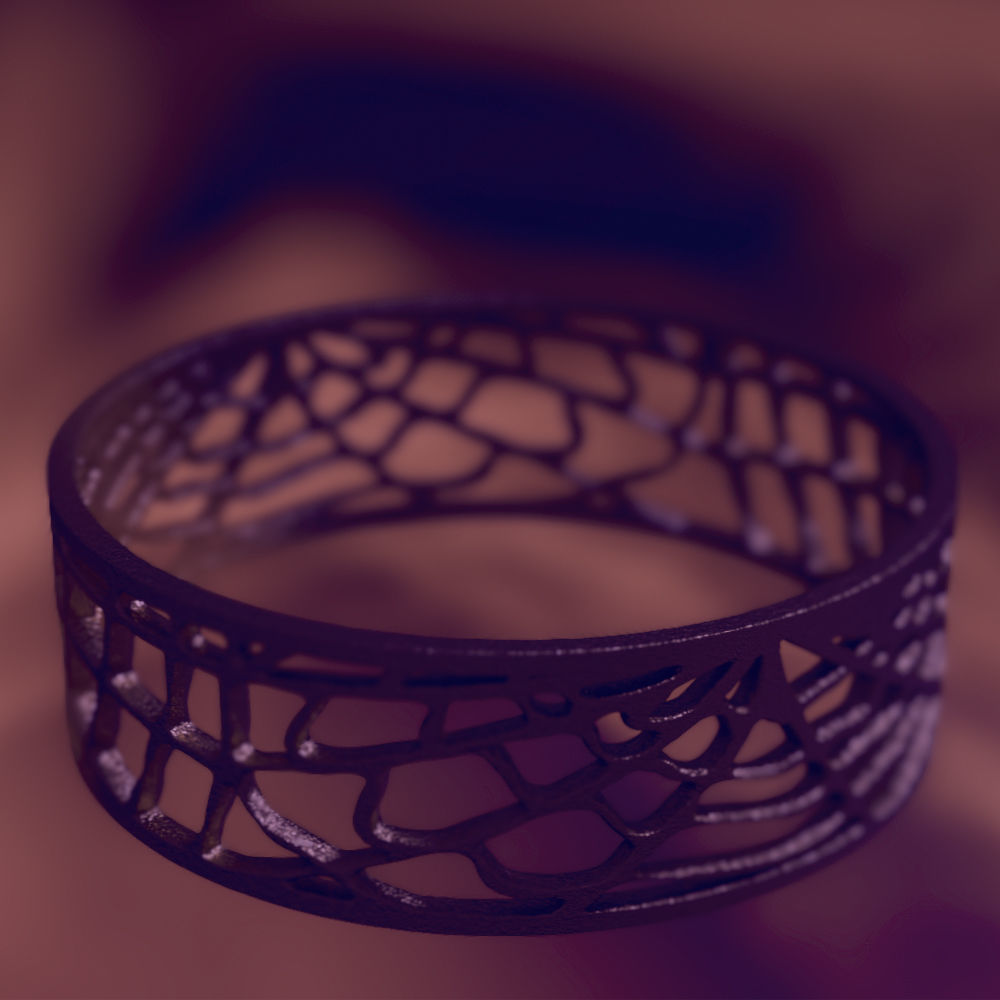 Ring Web 3D print model_5