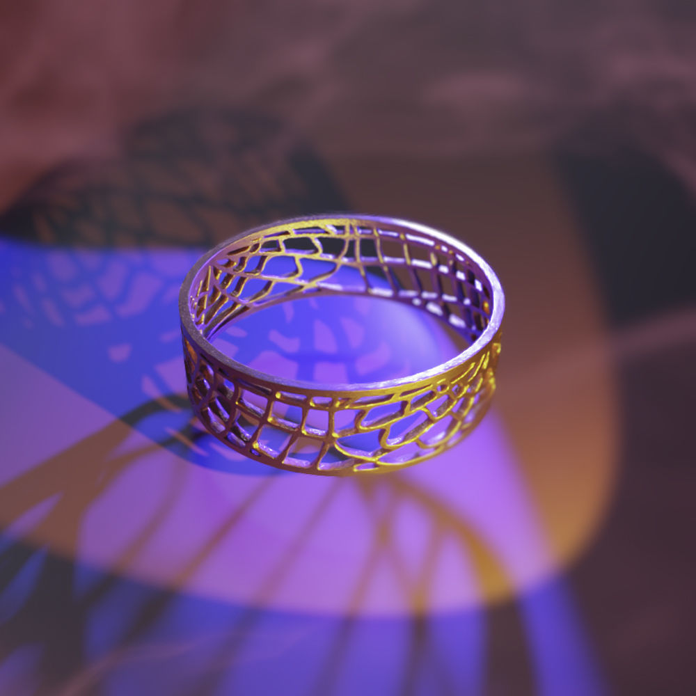 Ring Web 3D print model_3