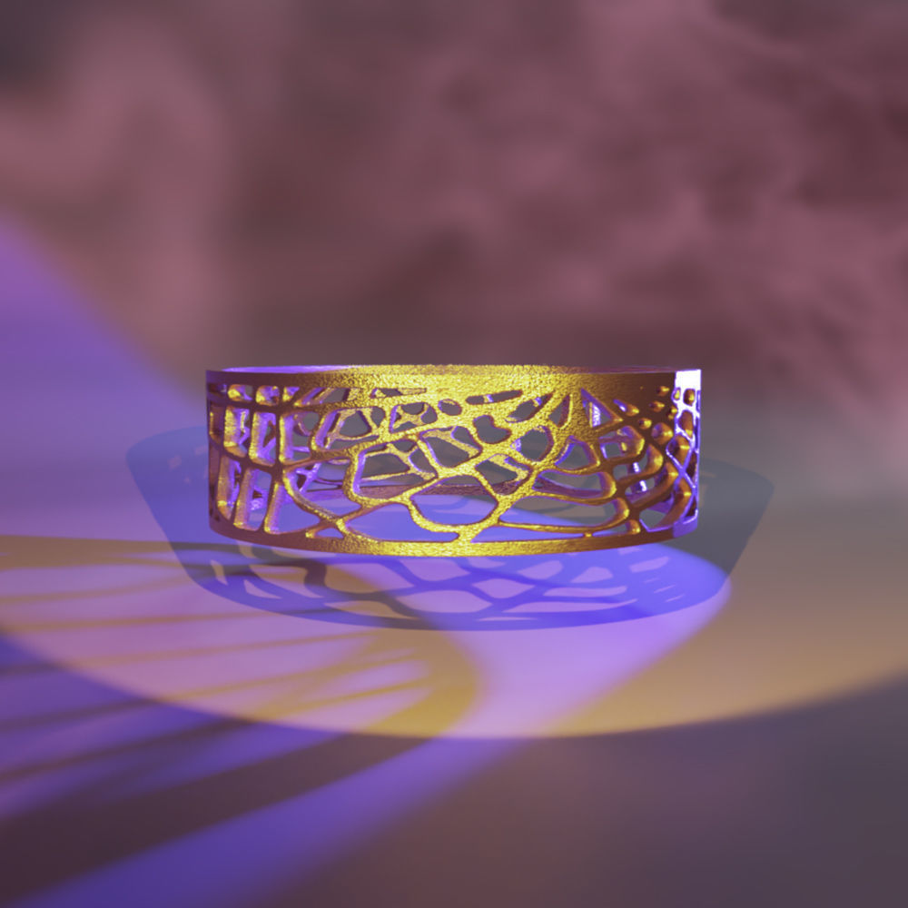 Ring Web 3D print model_2