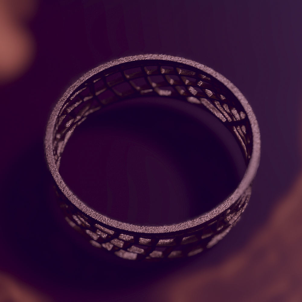 Ring Web 3D print model_8