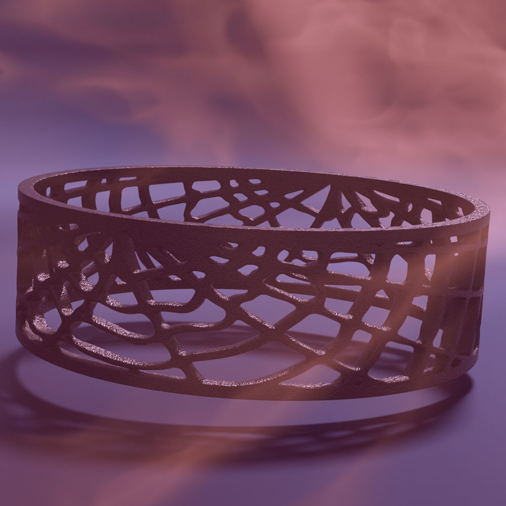 Ring Web 3D print model_6