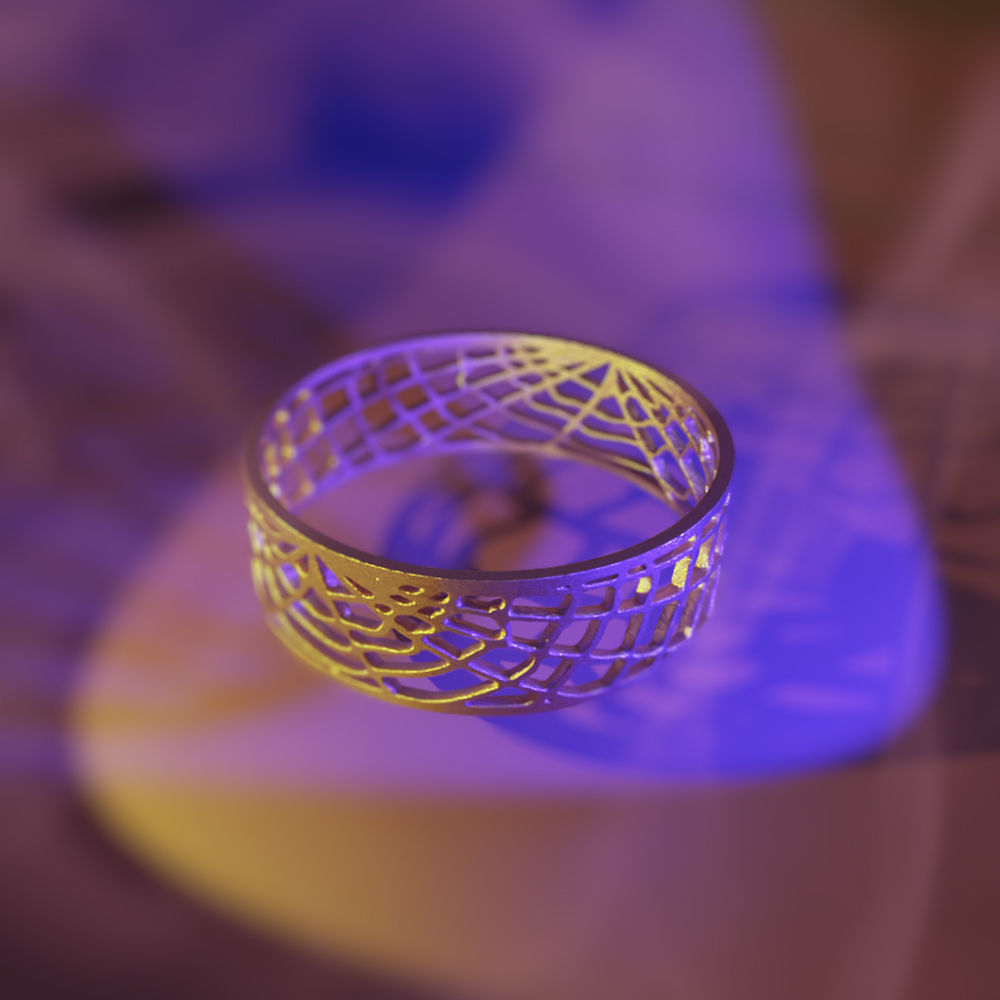 Ring Web 3D print model_4