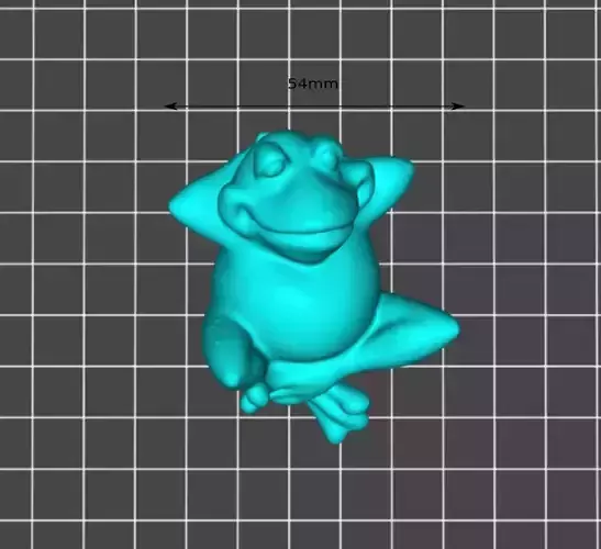 The lazy frog is resting