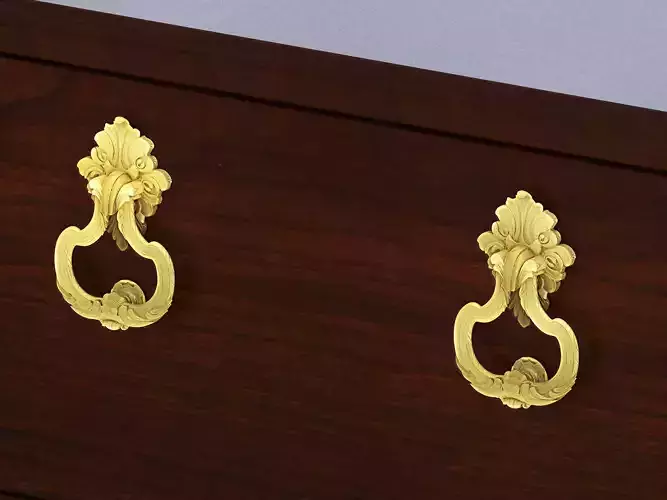 Louis XV Door Knocke 