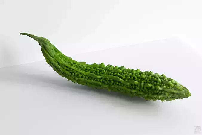 Karela 3D model