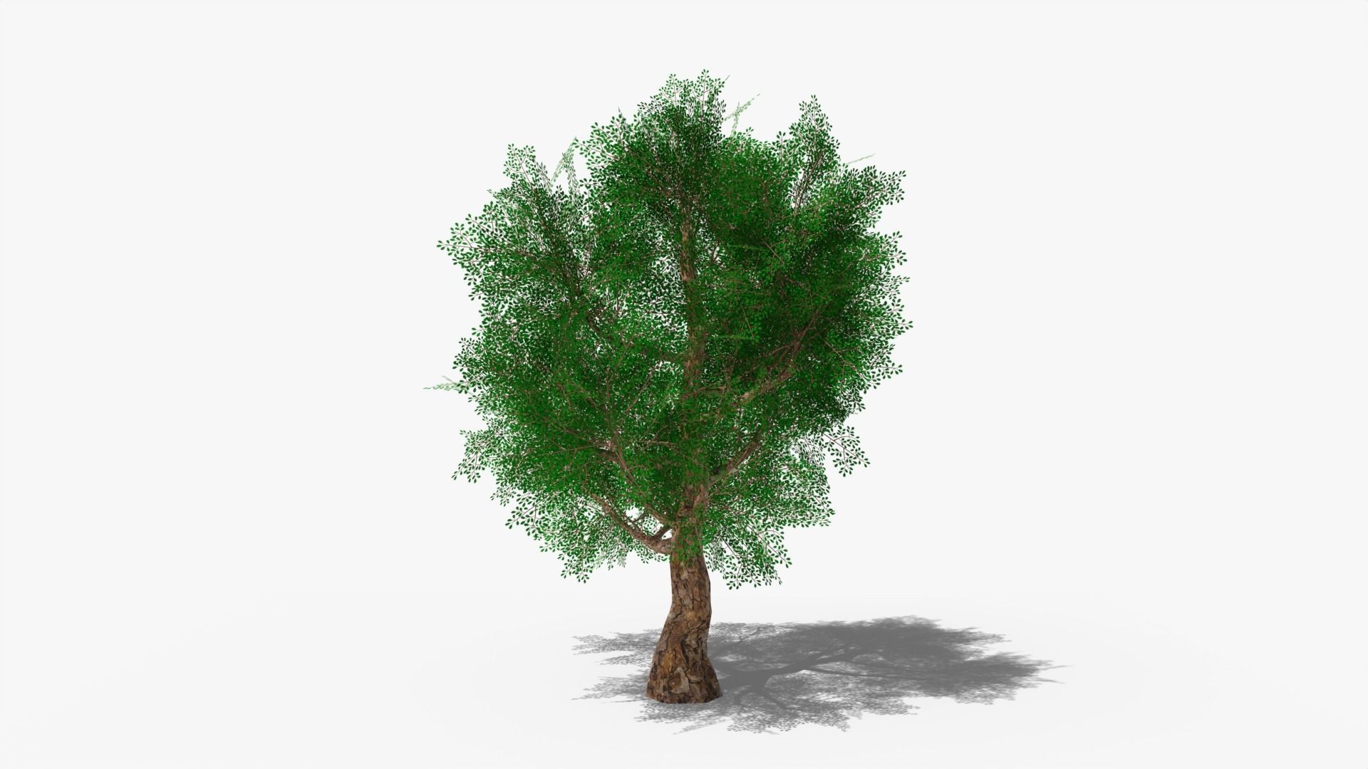 Stylized Cartoon Oak Low-poly 3D model_5
