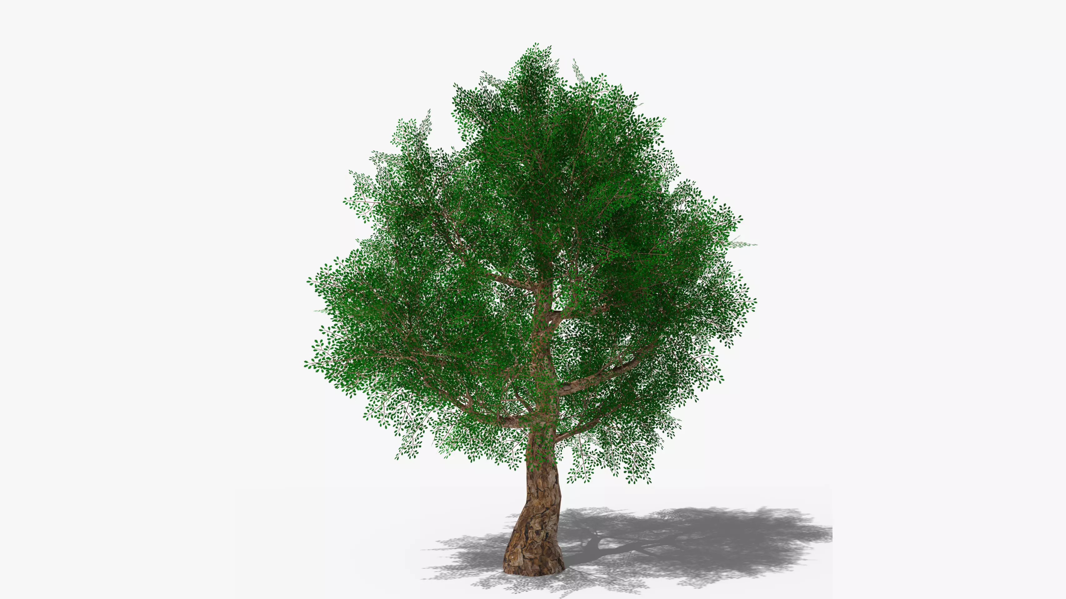 Stylized Cartoon Oak Low-poly 3D model_0
