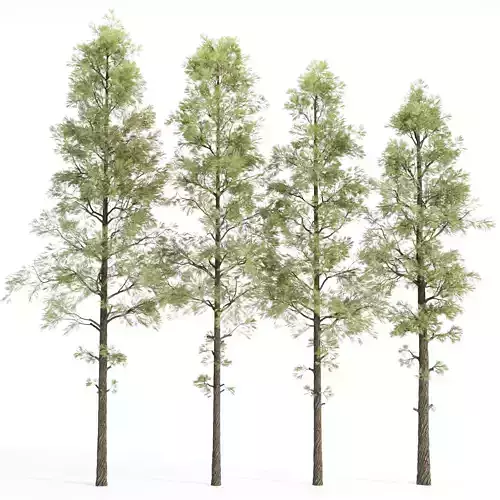 Pine Trees collection vol 227 3D model
