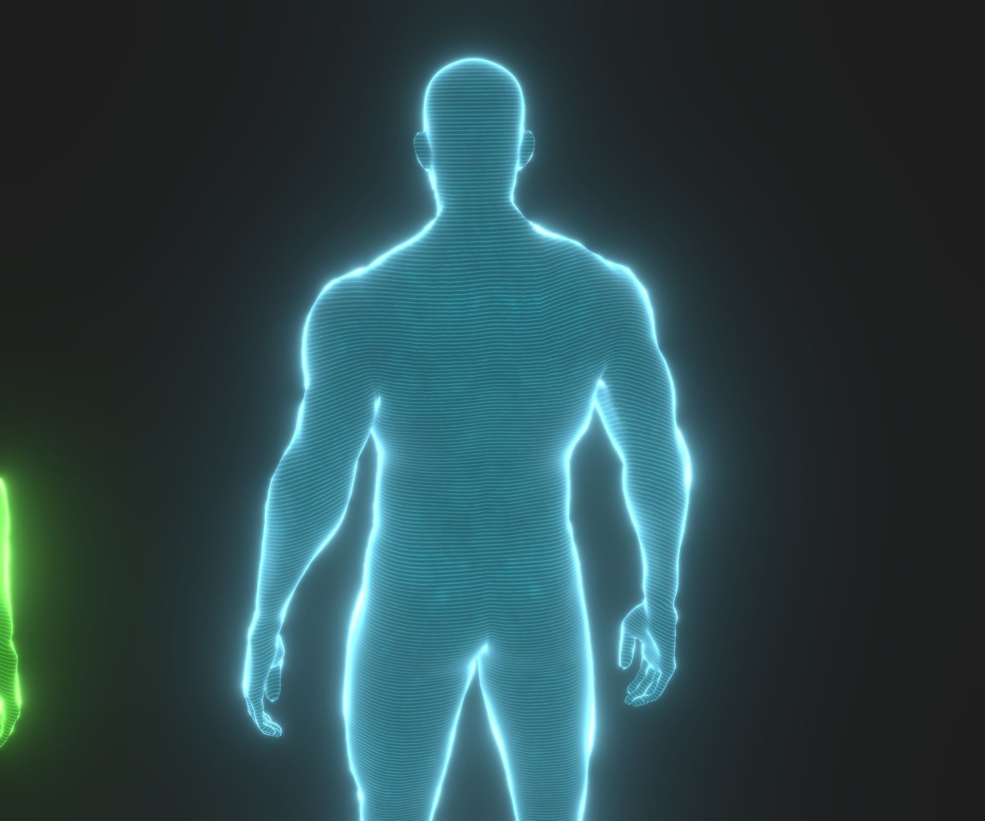 Animated Human Hologram Male and Female 3D Model 28 Animations Low-poly 3D model_37