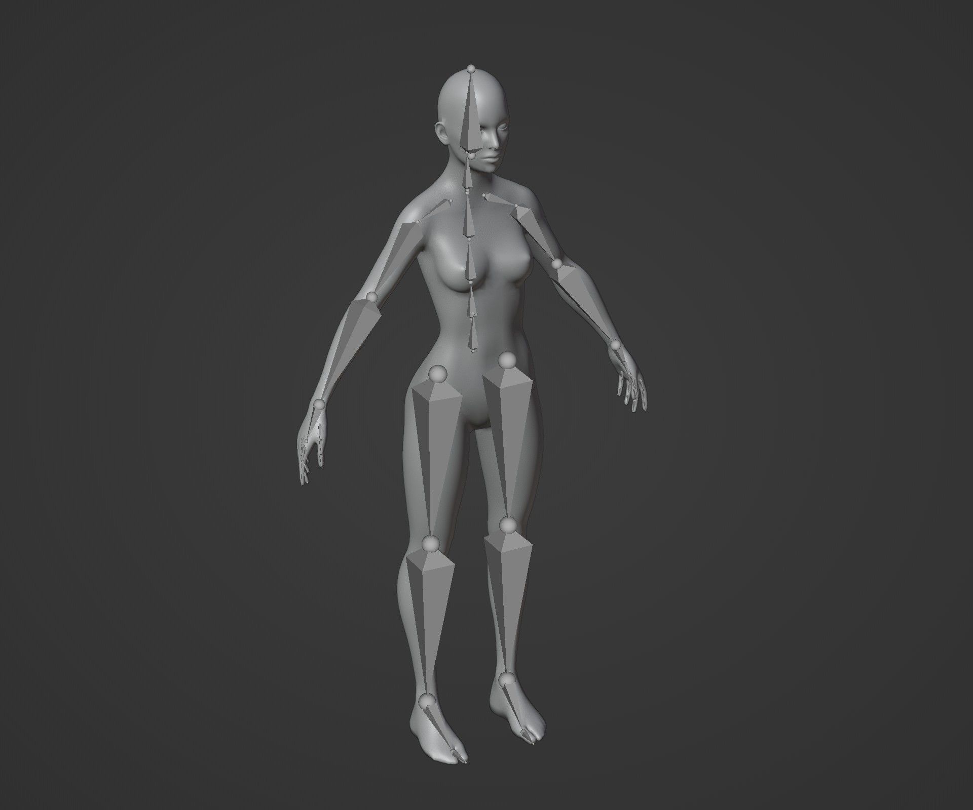 Animated Human Hologram Male and Female 3D Model 28 Animations Low-poly 3D model_24
