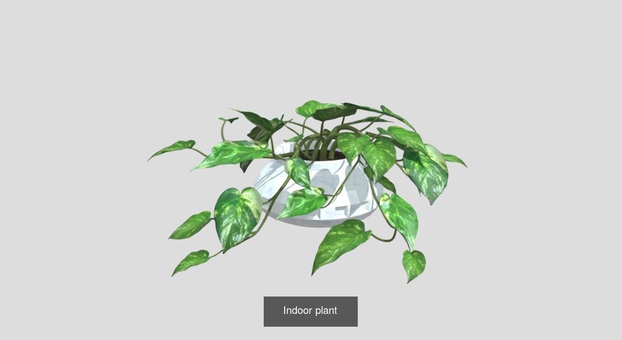 Plants pack - 4 3D Model Collection_2