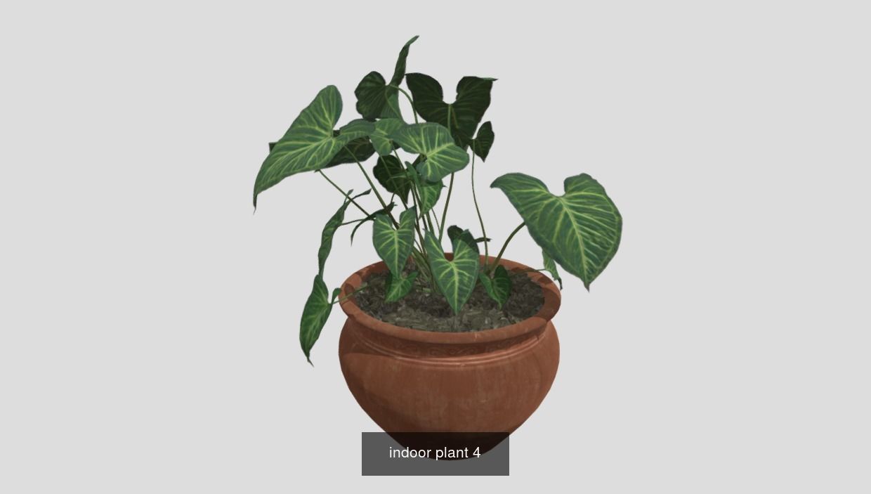 Plants pack - 4 3D Model Collection_4