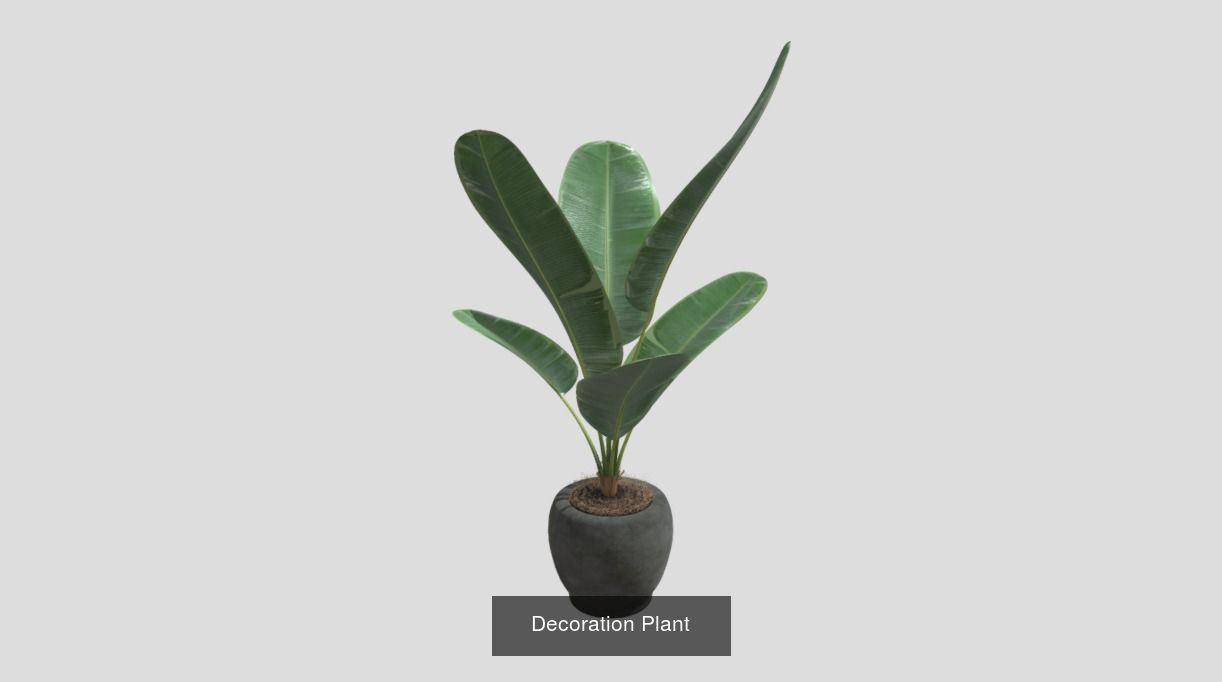 Plants pack - 4 3D Model Collection_3