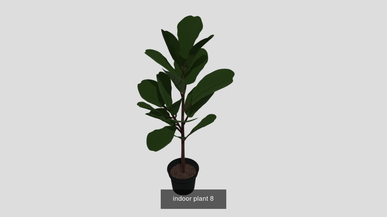 Plants pack - 4 3D Model Collection_1