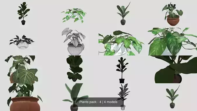 Plants pack - 4 3D Model Collection