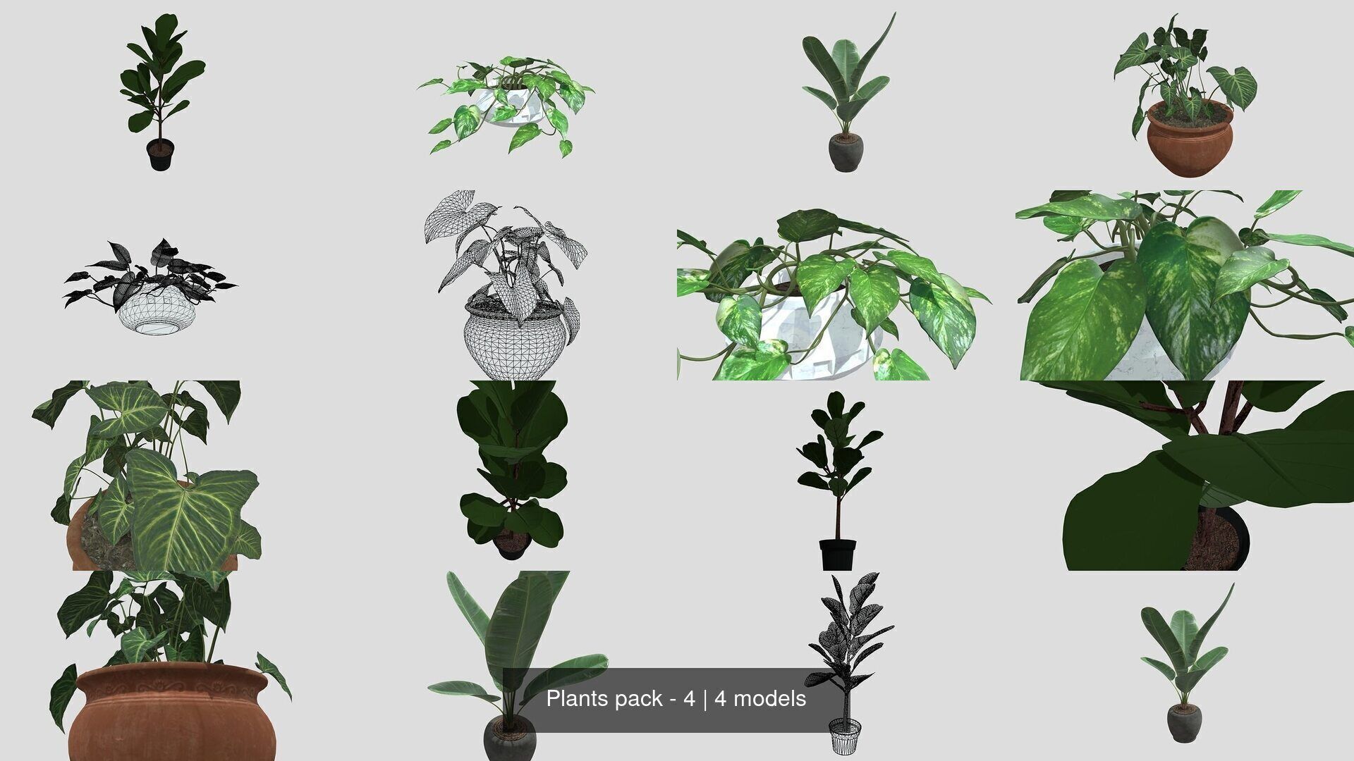 Plants pack - 4 3D Model Collection_0