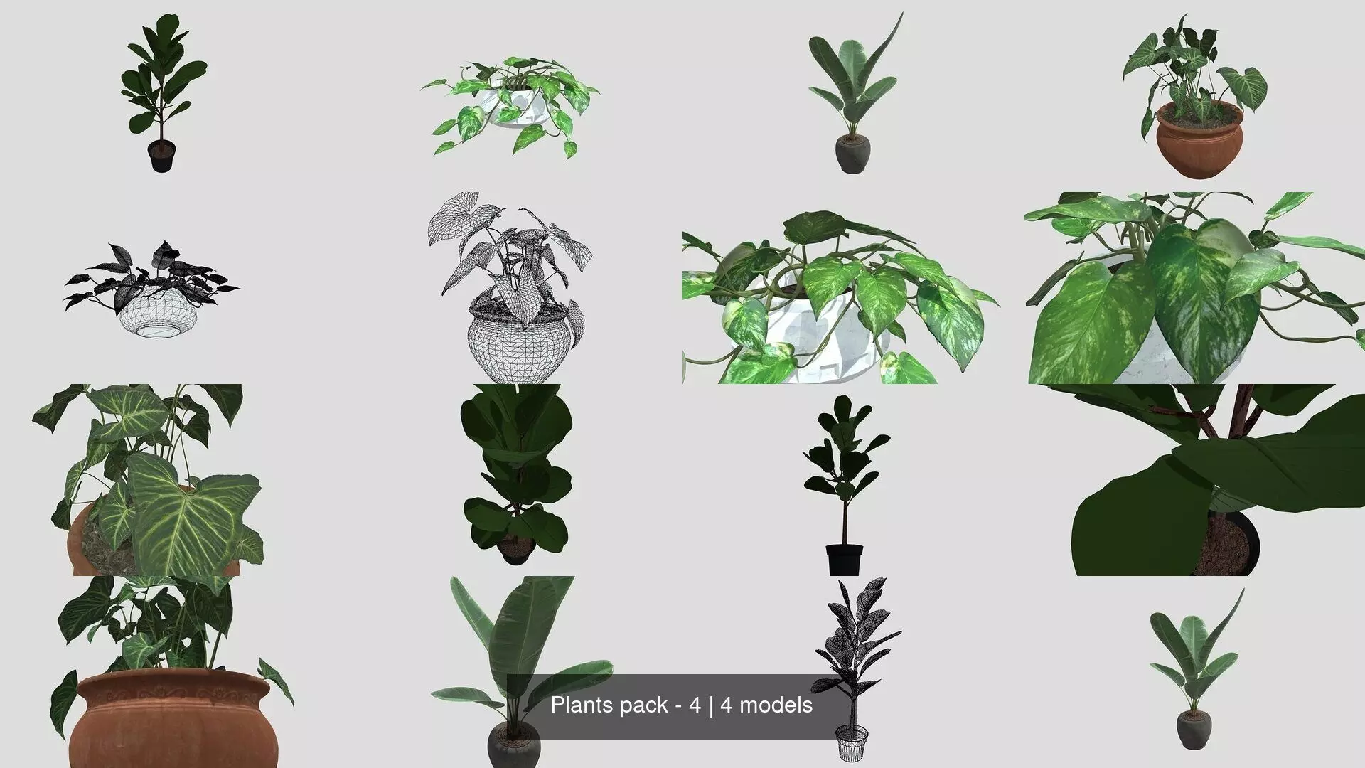 Plants pack - 4 3D Model Collection_0