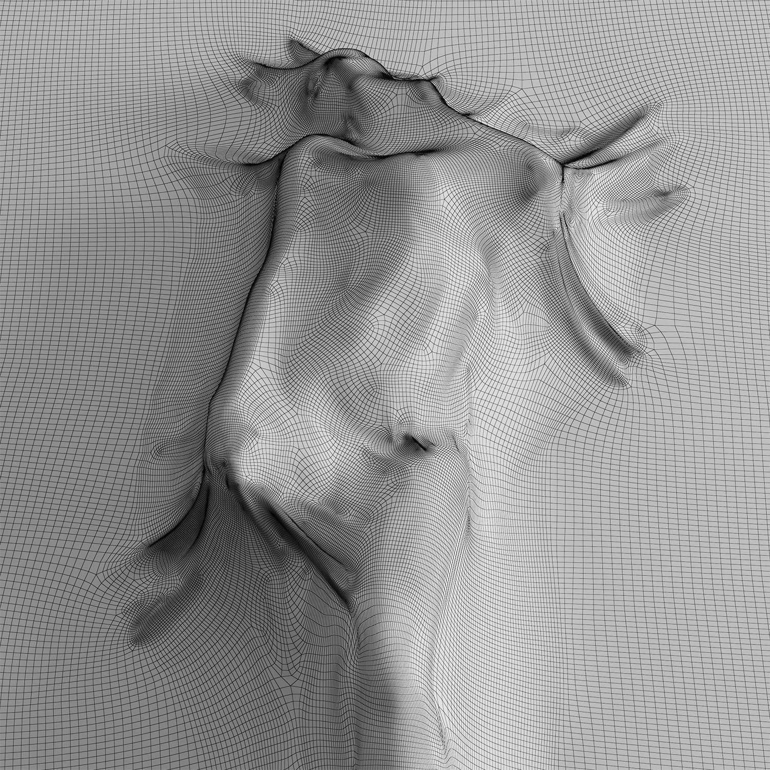 Bas relief Woman on the Wall 3D model_10