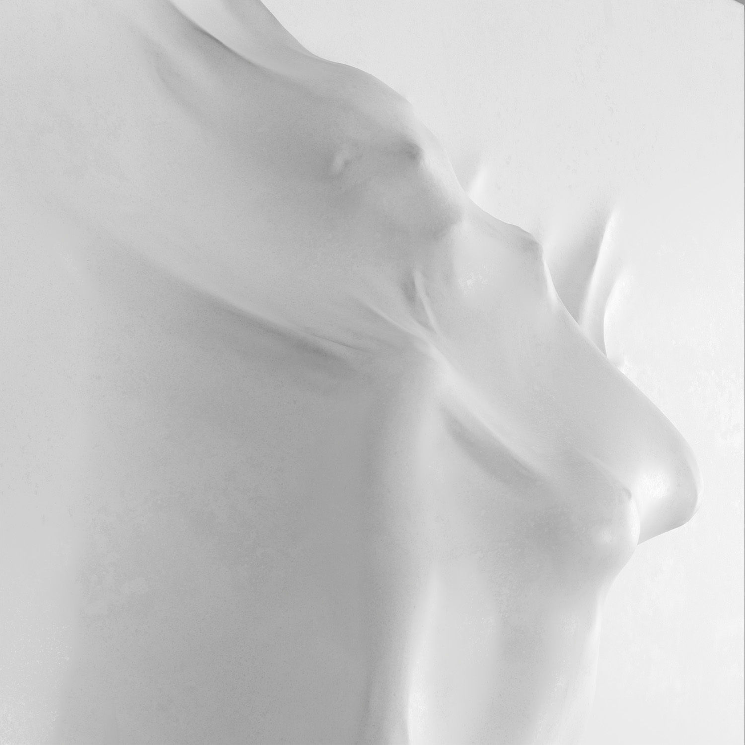 Bas relief Woman on the Wall 3D model_6