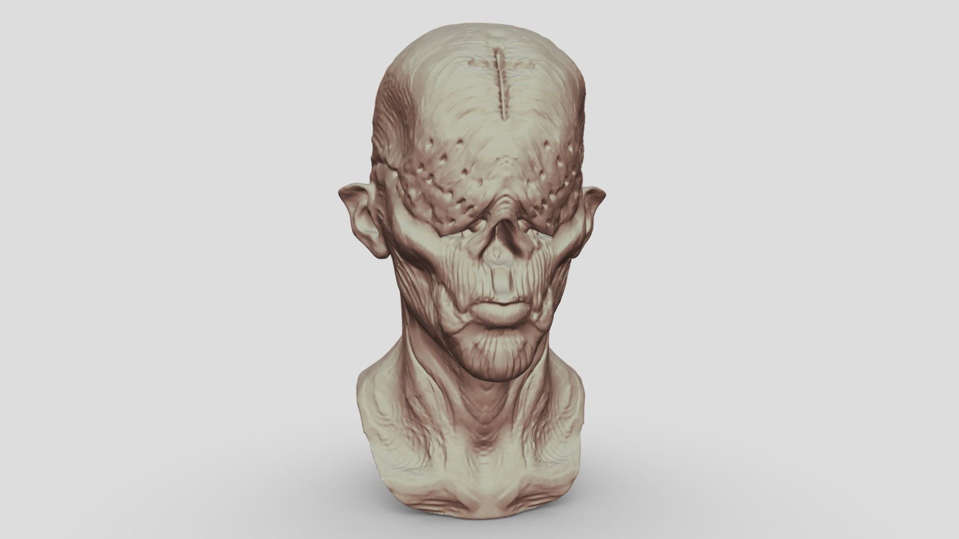 Monster Head Sculpt 3D model_5