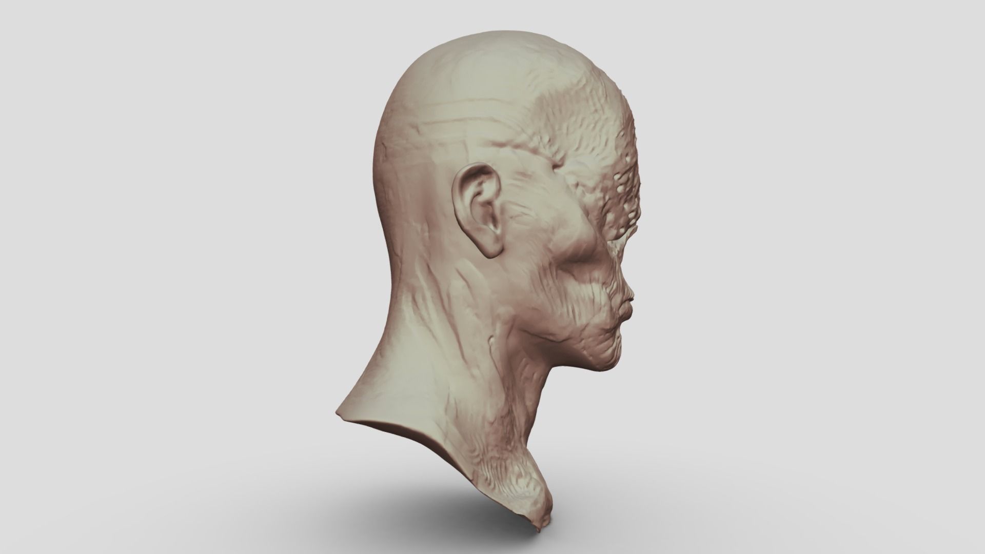 Monster Head Sculpt 3D model_2