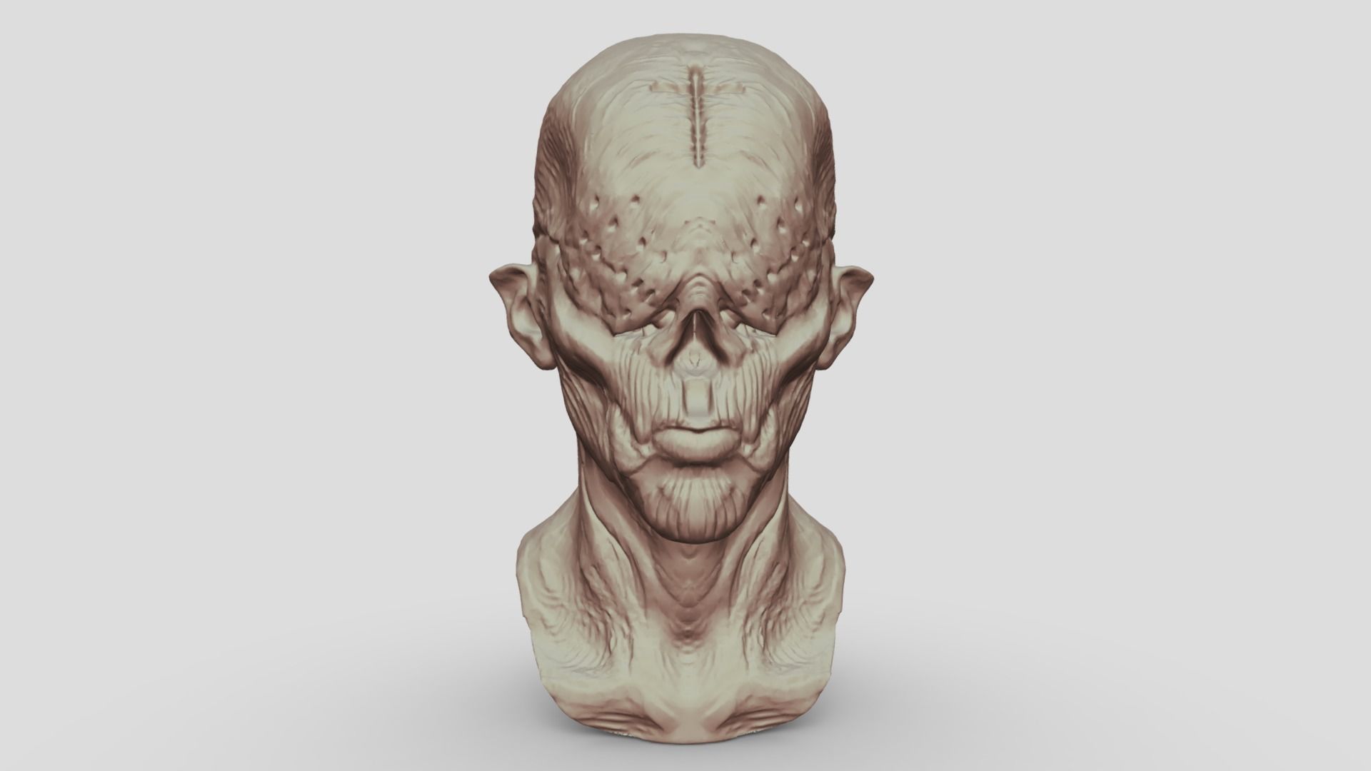 Monster Head Sculpt 3D model_1