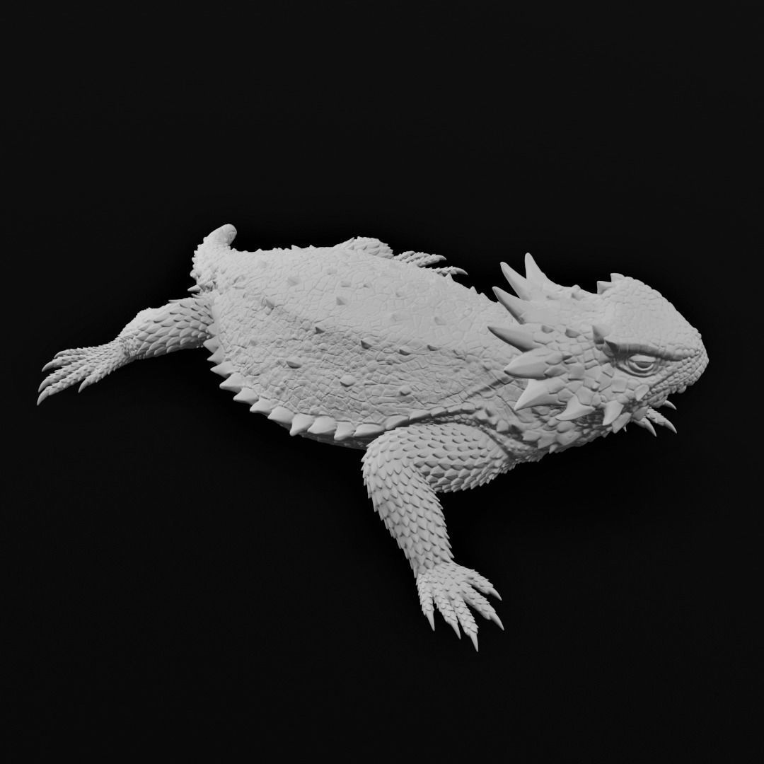 Regal Horned Lizard - Phrynosoma solare 3D Print 3D print model_6