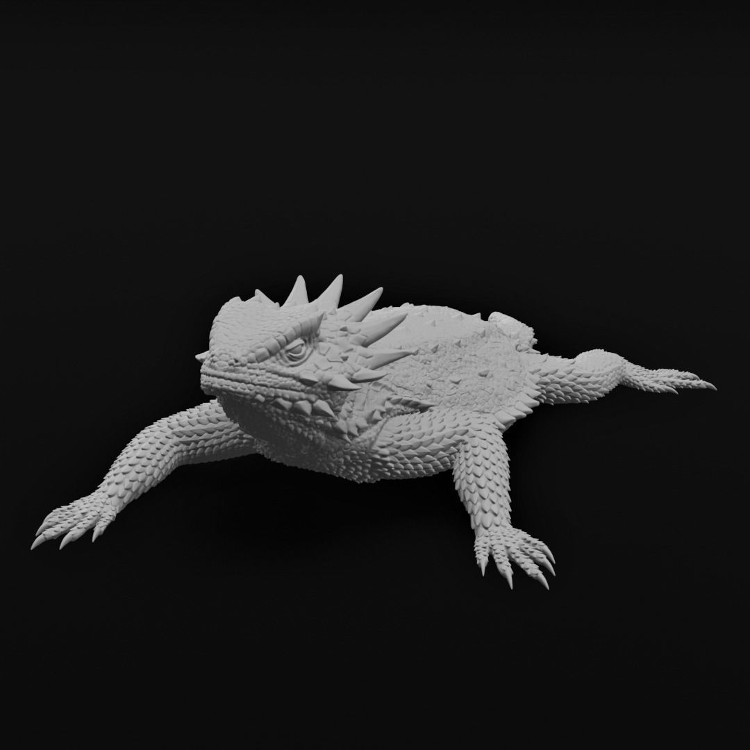 Regal Horned Lizard - Phrynosoma solare 3D Print 3D print model_3