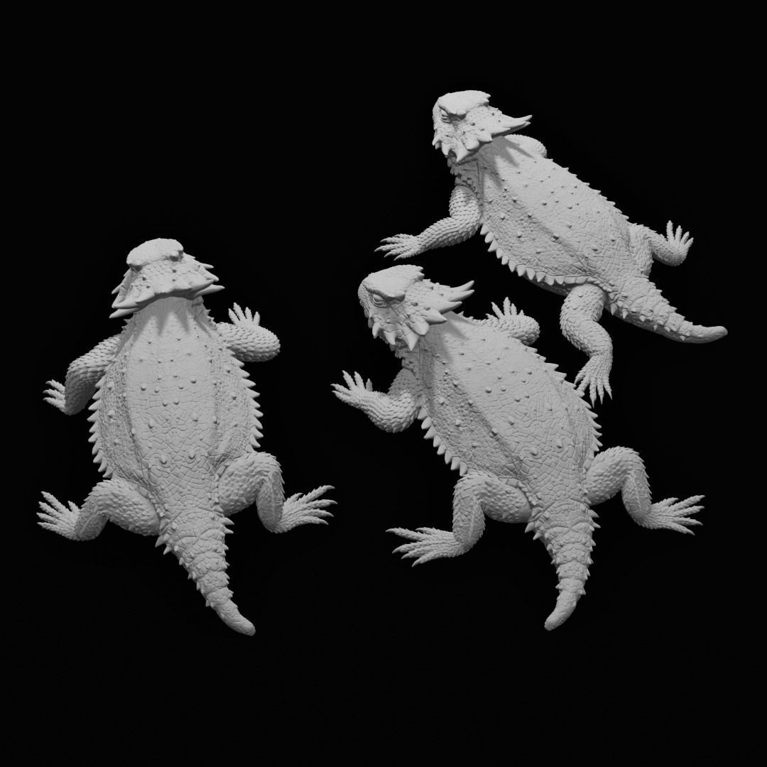 Regal Horned Lizard - Phrynosoma solare 3D Print 3D print model_2