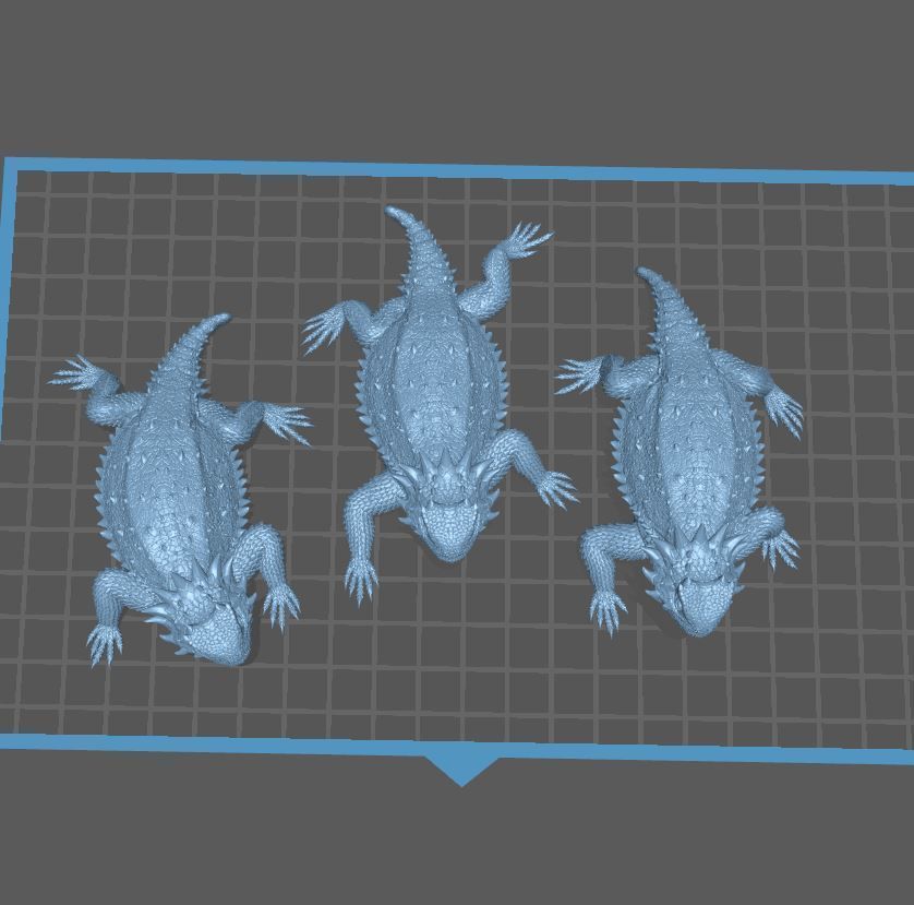 Regal Horned Lizard - Phrynosoma solare 3D Print 3D print model_9