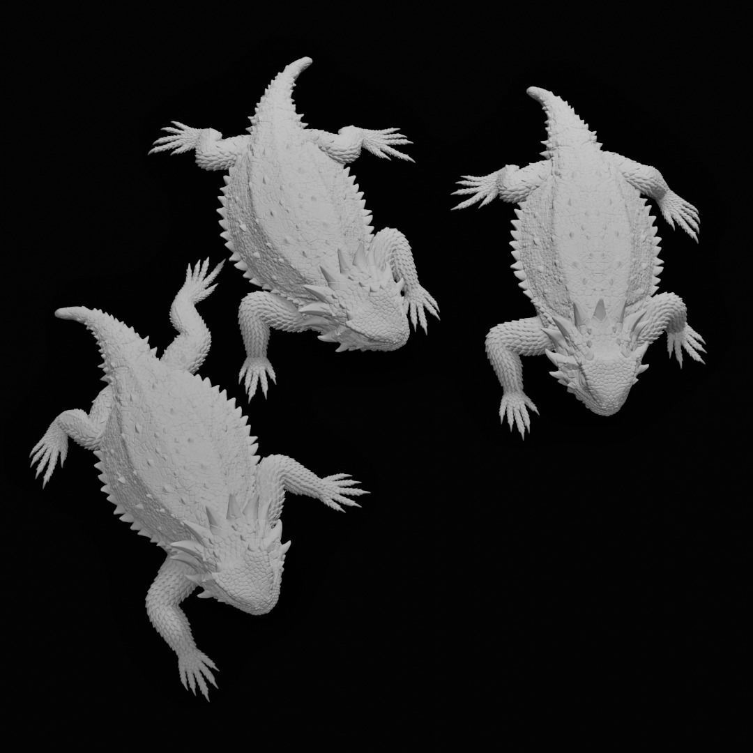 Regal Horned Lizard - Phrynosoma solare 3D Print 3D print model_1