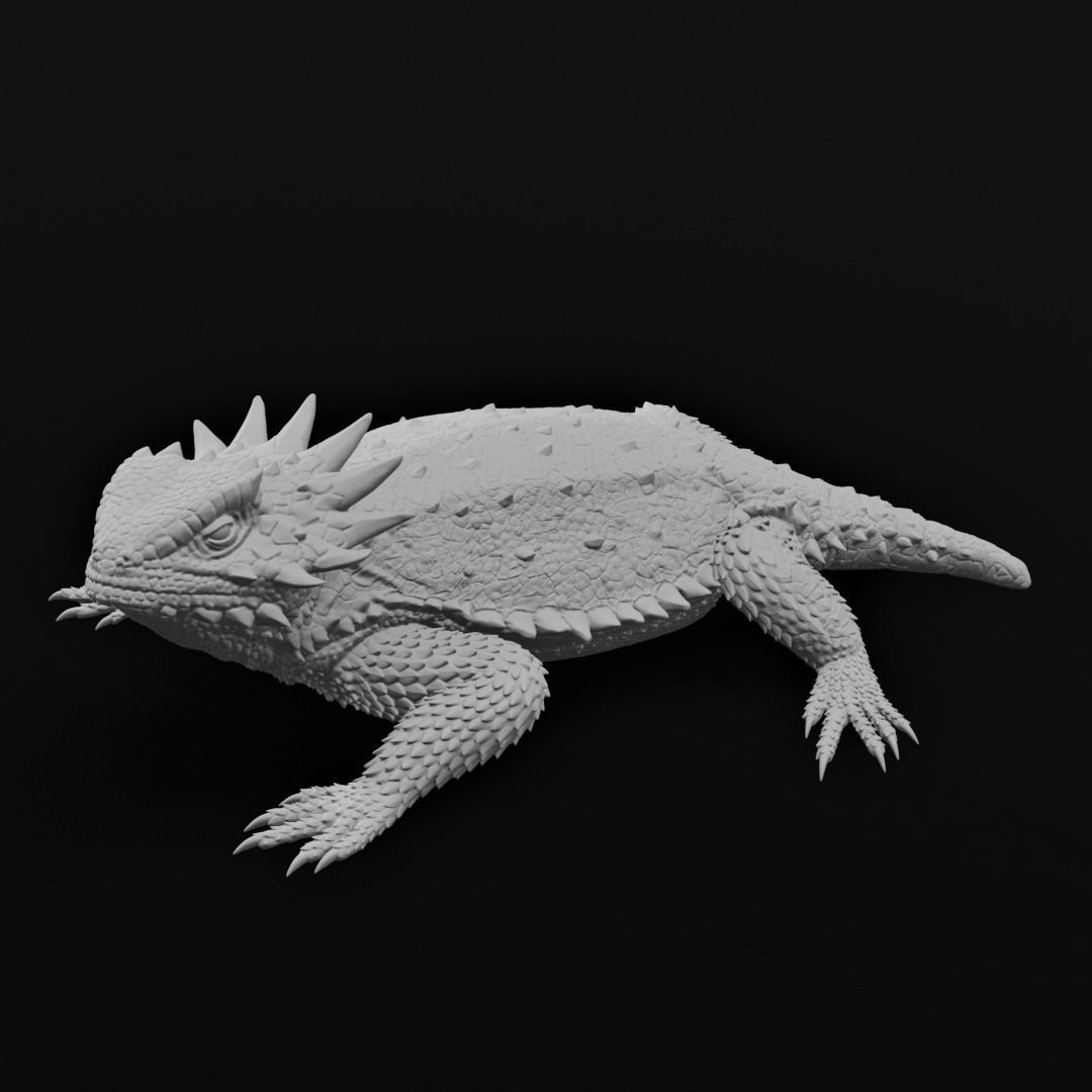 Regal Horned Lizard - Phrynosoma solare 3D Print 3D print model_5