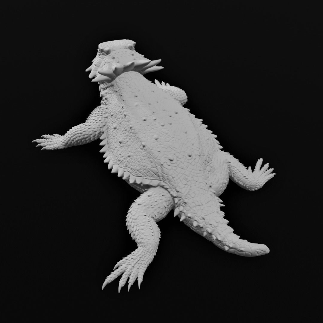 Regal Horned Lizard - Phrynosoma solare 3D Print 3D print model_4
