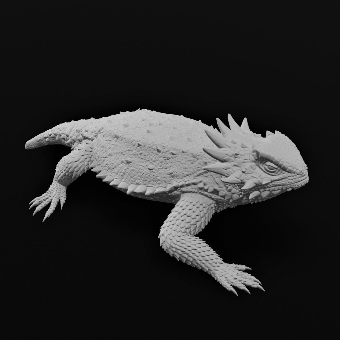 Regal Horned Lizard - Phrynosoma solare 3D Print 3D print model_8