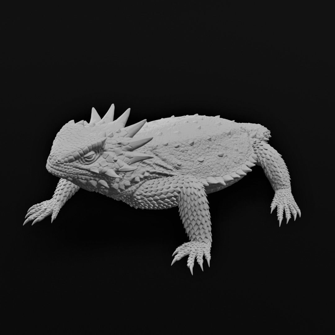 Regal Horned Lizard - Phrynosoma solare 3D Print 3D print model_7