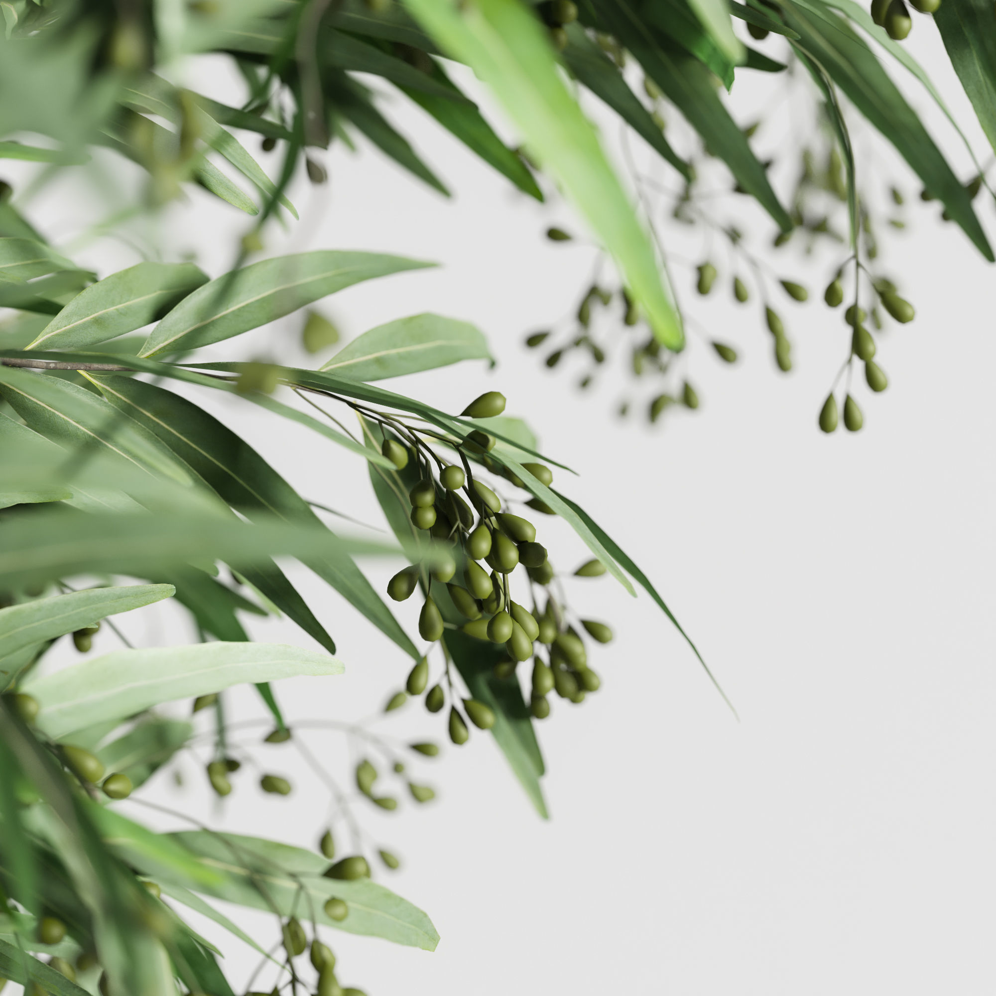 decorative set 32 3D model_1