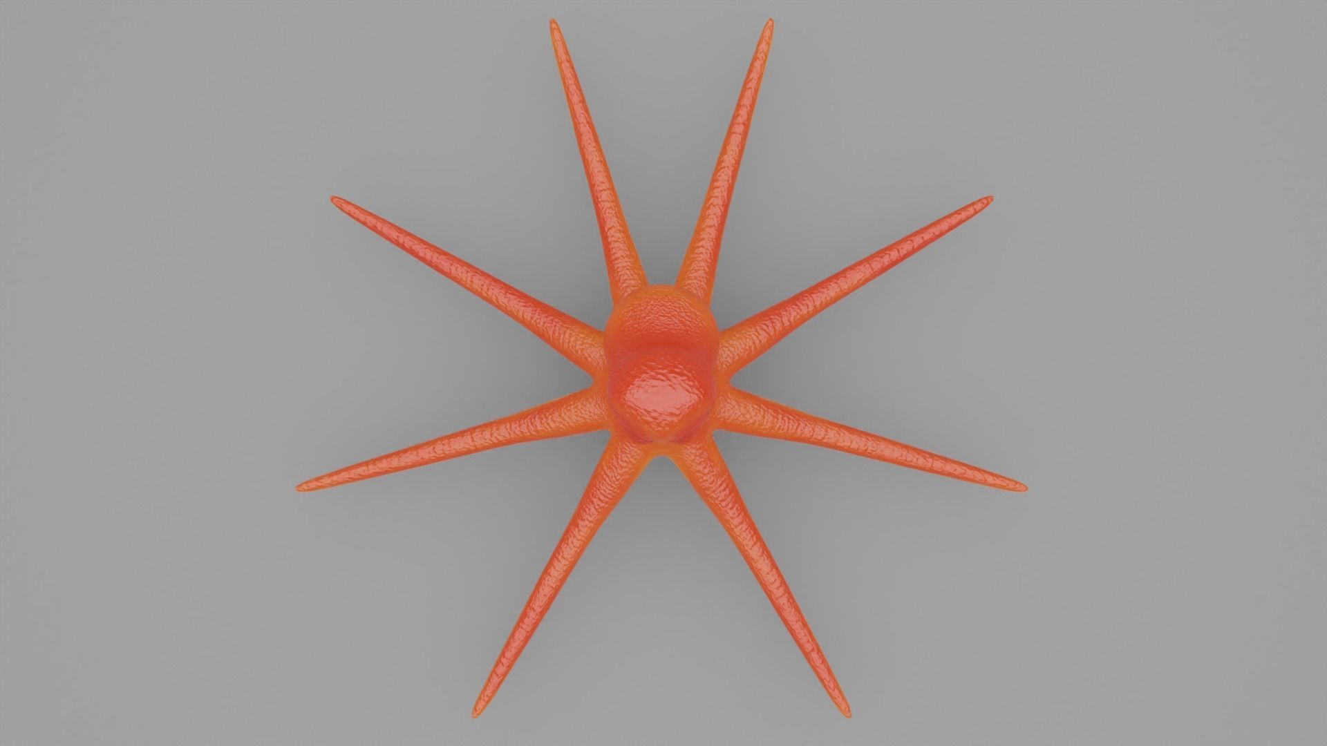 3D Octopus Cartoon Character 3D model_9