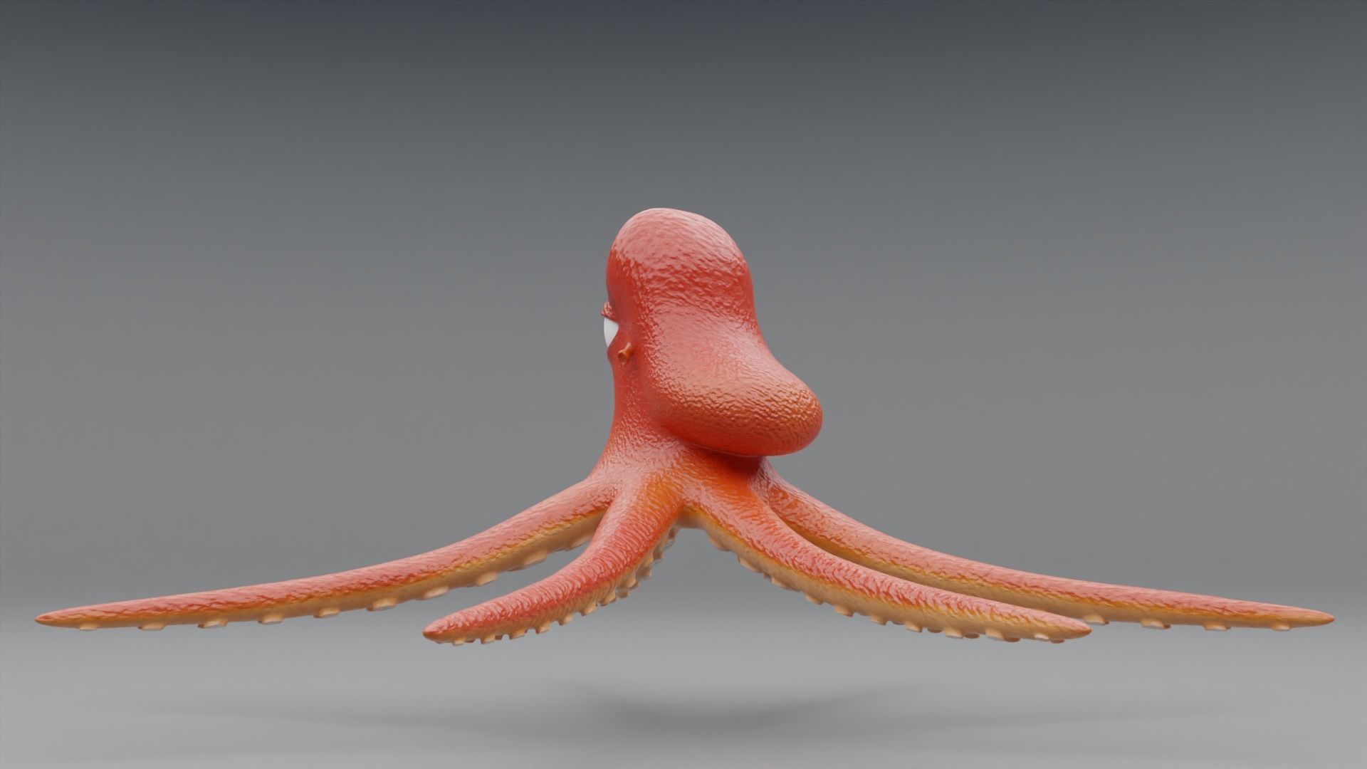 3D Octopus Cartoon Character 3D model_8