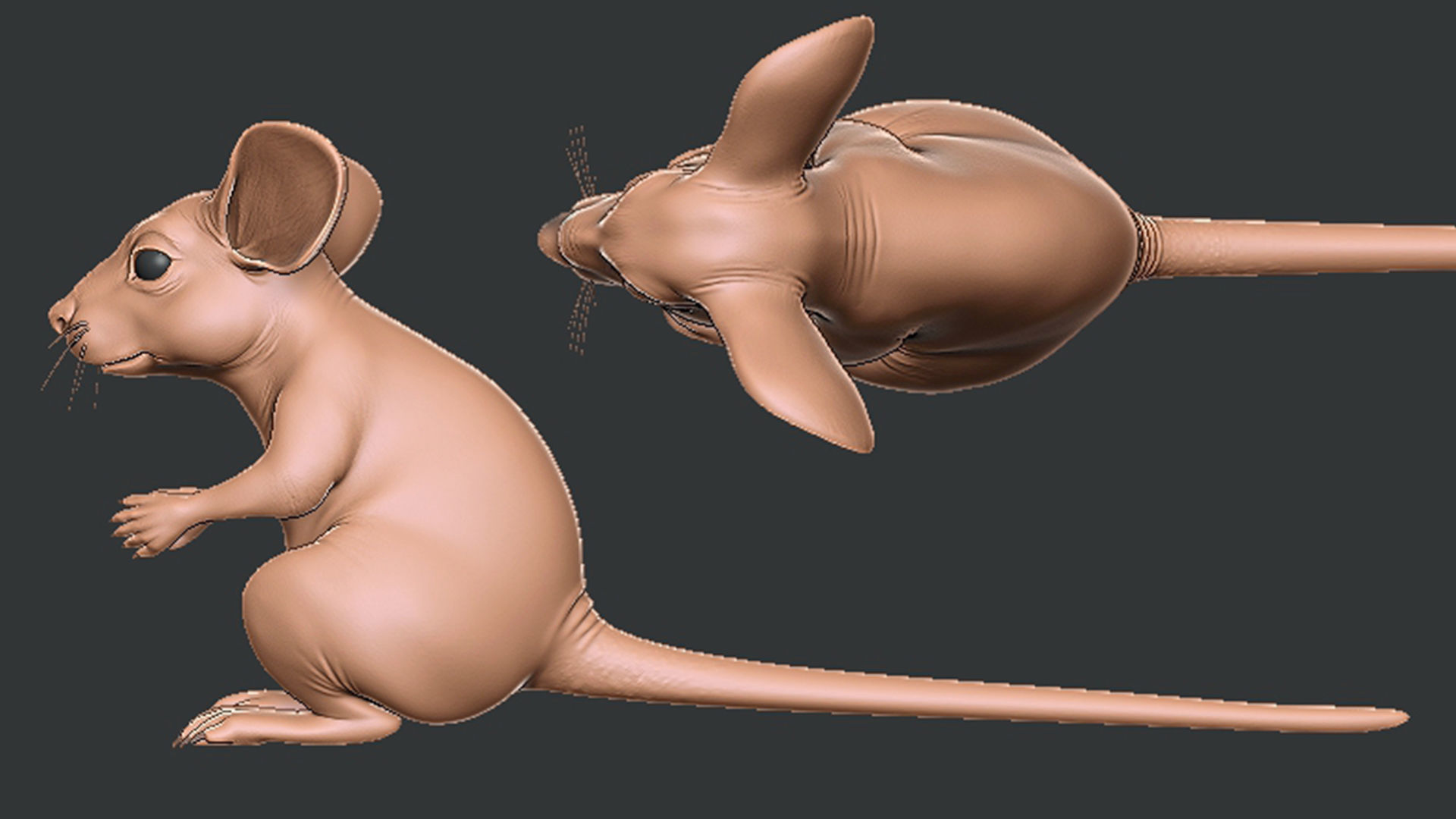 Mouse 3D model_5