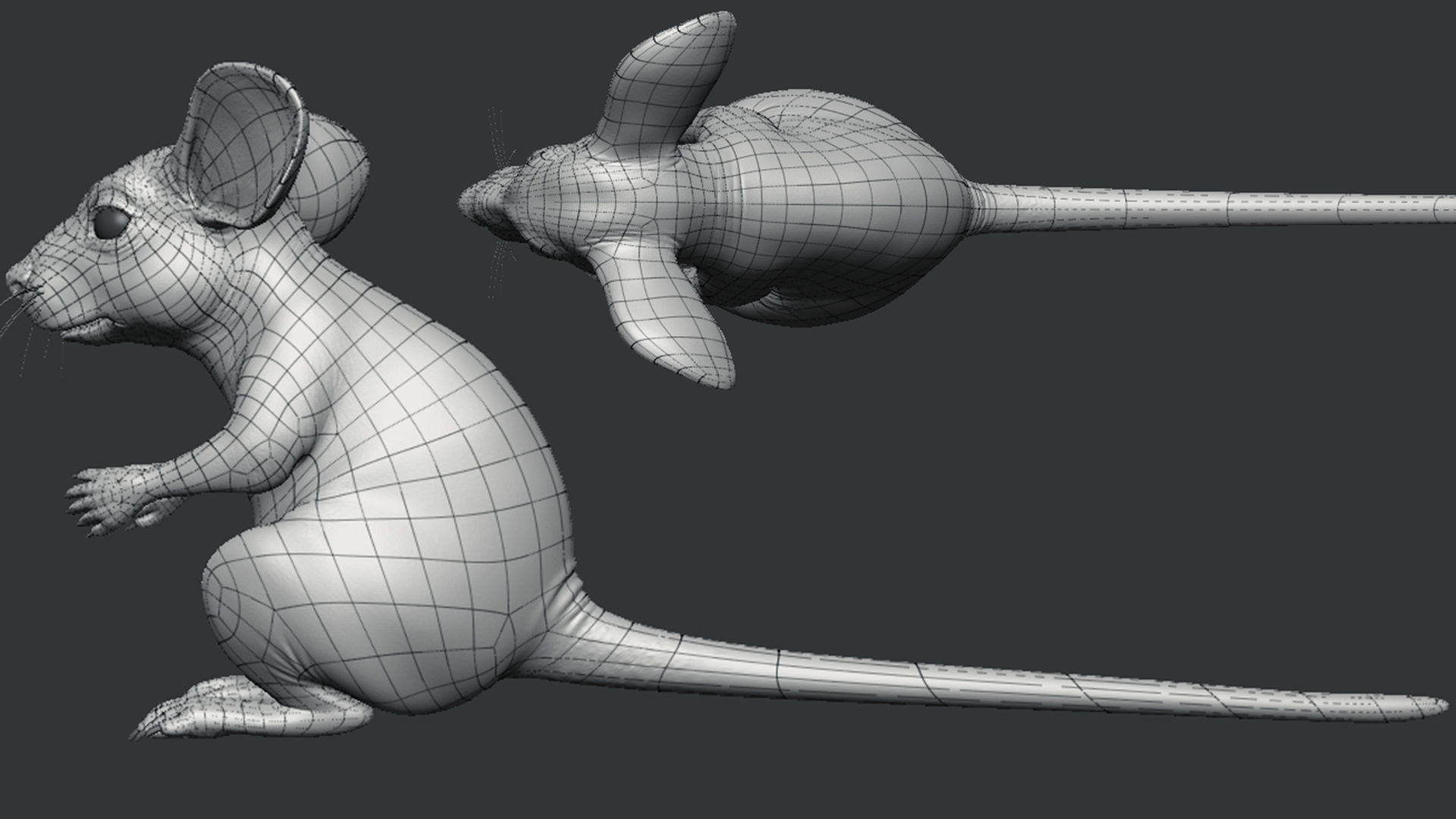 Mouse 3D model_6