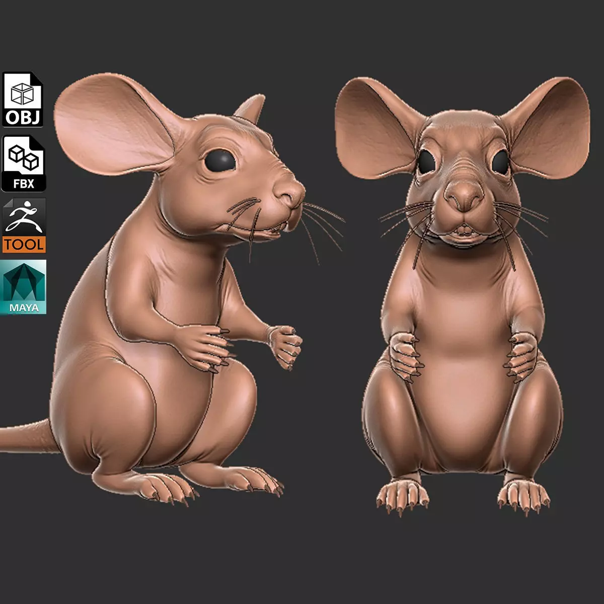 Mouse 3D model_0