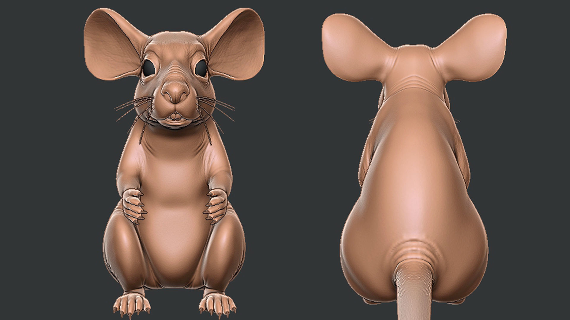 Mouse 3D model_3