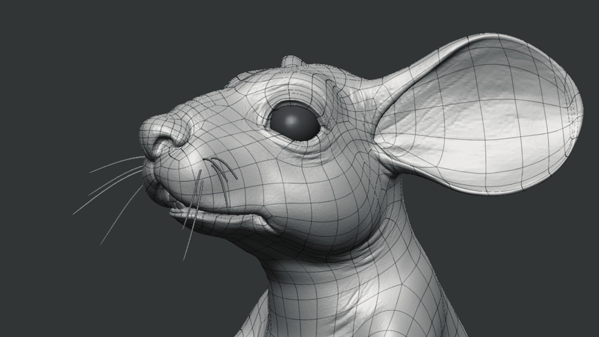 Mouse 3D model_8