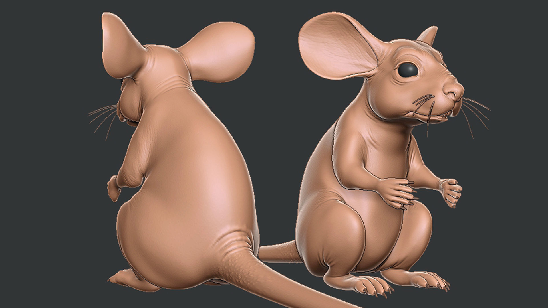 Mouse 3D model_1