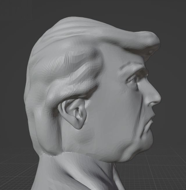 Donald Trump 3D print model_16