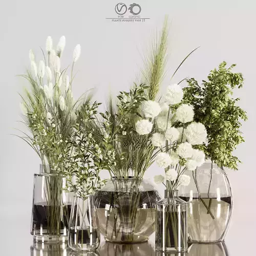 Collaction Plants Bouquet 21