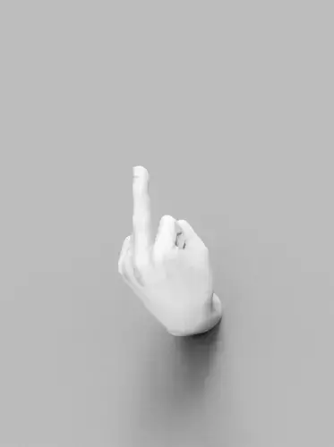 Middle Finger Hand Sculpture Wall Decor Printable