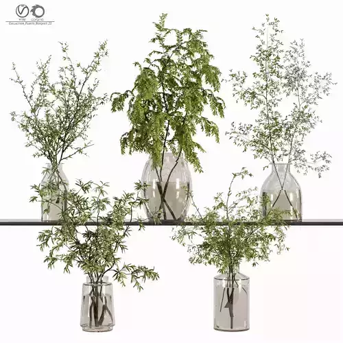 Collaction Plants Bouquet 22