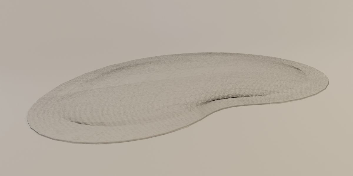 Celestial Carpet 3D model_9