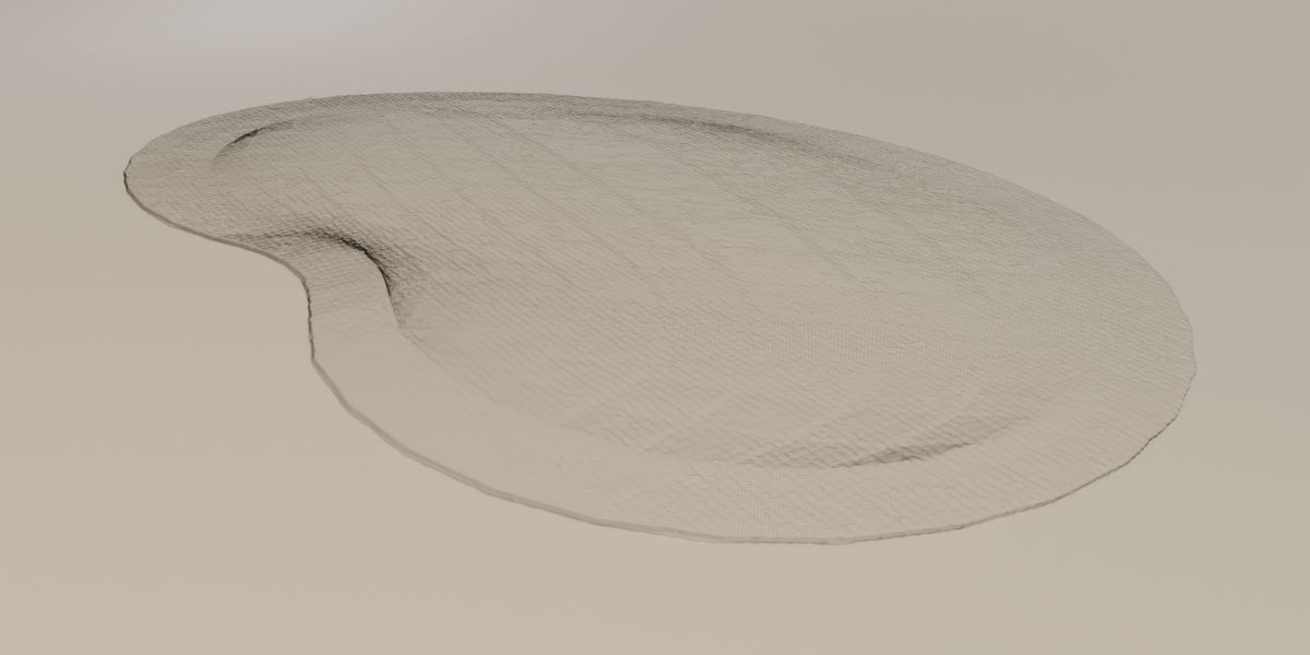 Celestial Carpet 3D model_14